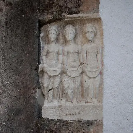 Dalmatian House Πανσιόν