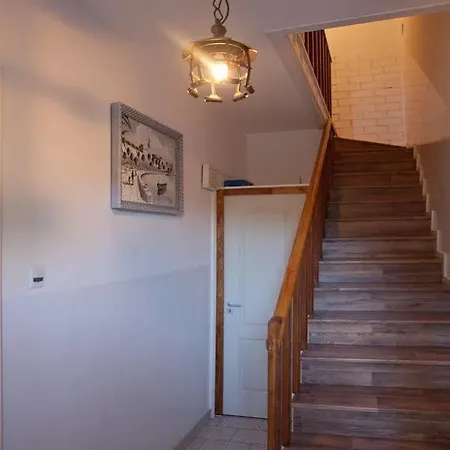 Dalmatian House Split