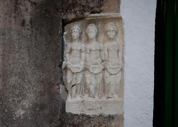 ダルメシアン ハウス ゲストハウス