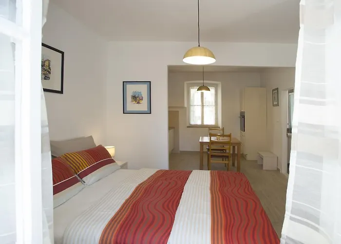 ダルメシアン ハウス ゲストハウス