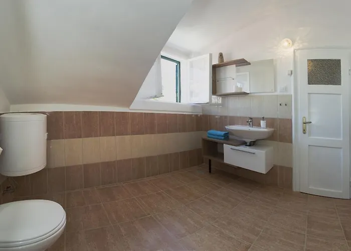 ダルメシアン ハウス