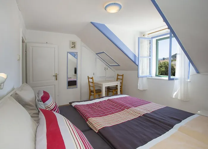 ゲストハウス ダルメシアン ハウス