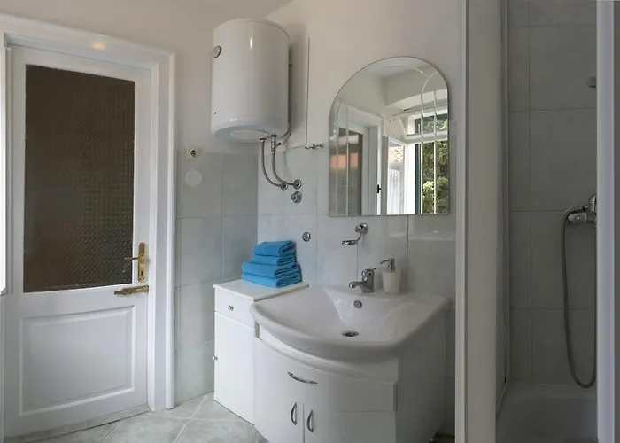 ダルメシアン ハウス