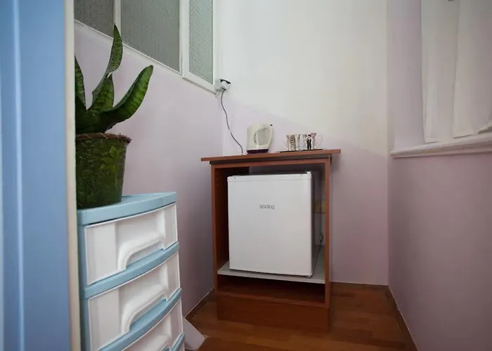 ダルメシアン ハウス