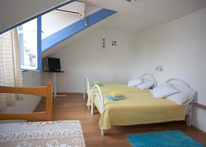 ダルメシアン ハウス スプリト