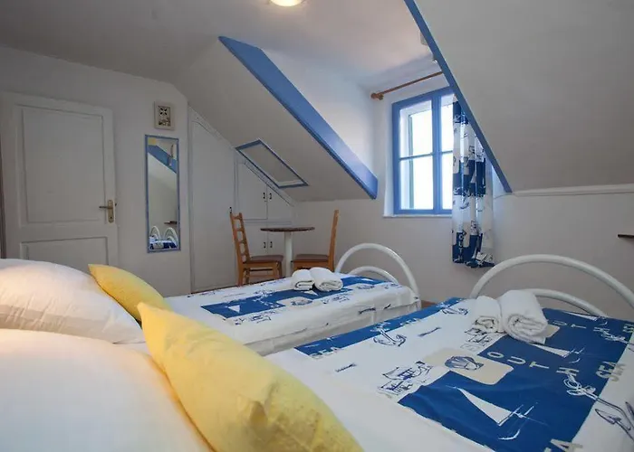 ダルメシアン ハウス スプリト